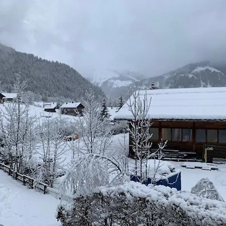 Châtel, 2 Pièces, 4 Personnes - Fr-1-200-346 *